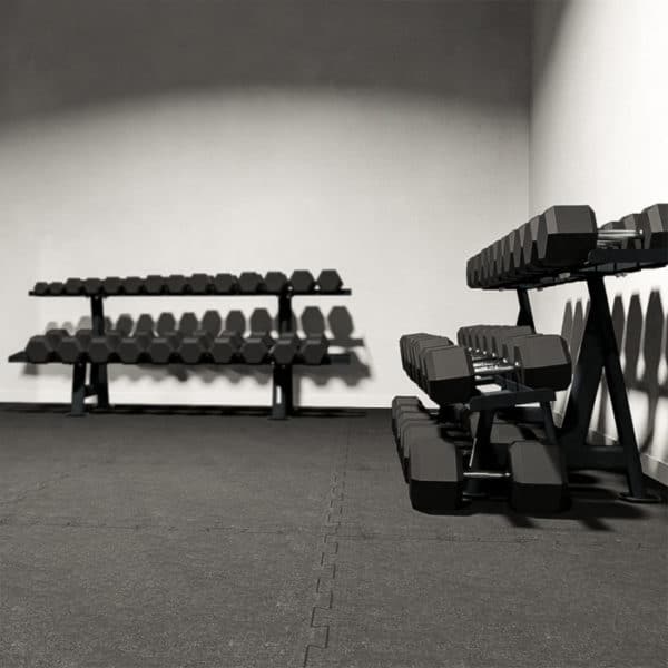 8880 DUMBELL RACK 1 3 700x700 1 | BODYKING FITNESS