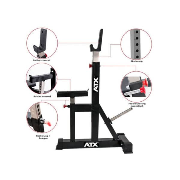21859 1712524212 v | BODYKING FITNESS