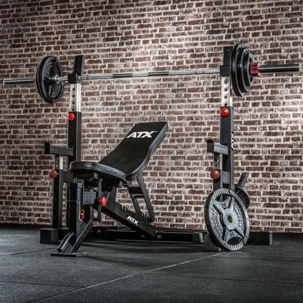 21861 1712156864 v | BODYKING FITNESS
