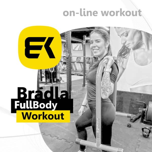 bradla workout produkt full body workout2 | BODYKING FITNESS