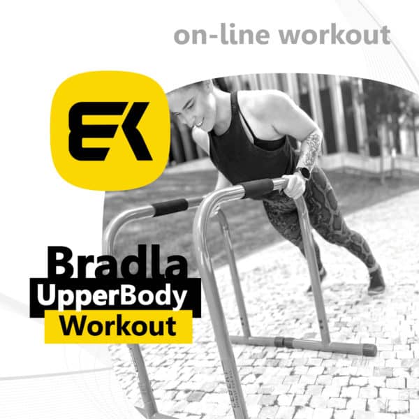 bradla workout produkt upper body workout | BODYKING FITNESS